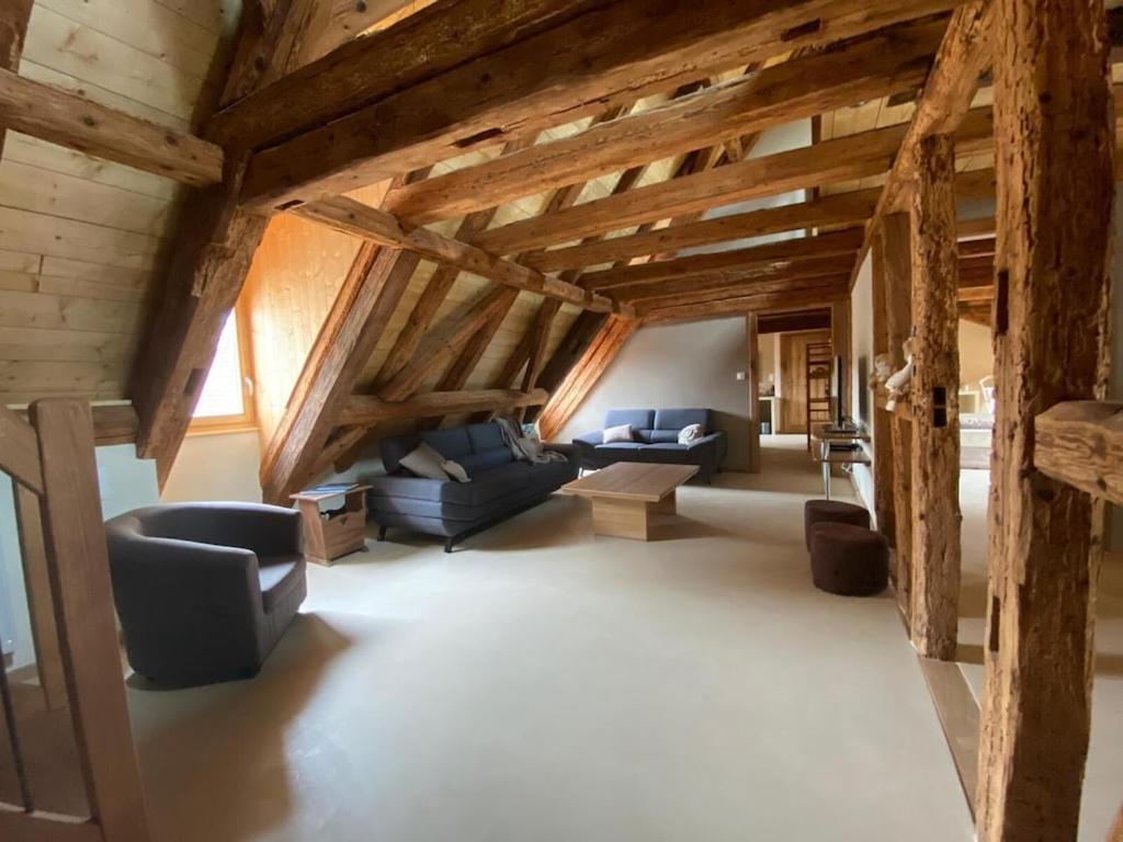 Maison De Charme En Alsace - In Vino Veritas - 12 Personnes