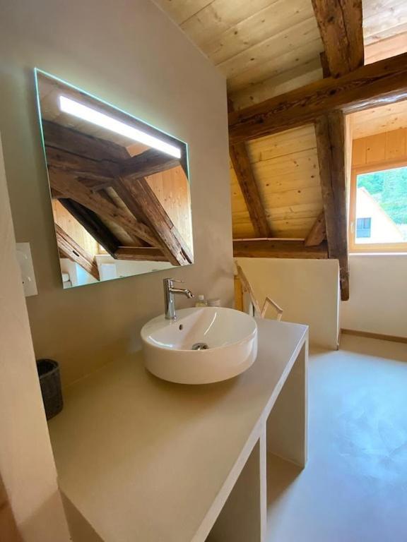 Maison De Charme En Alsace - In Vino Veritas - 12 Personnes Vakantiehuis *