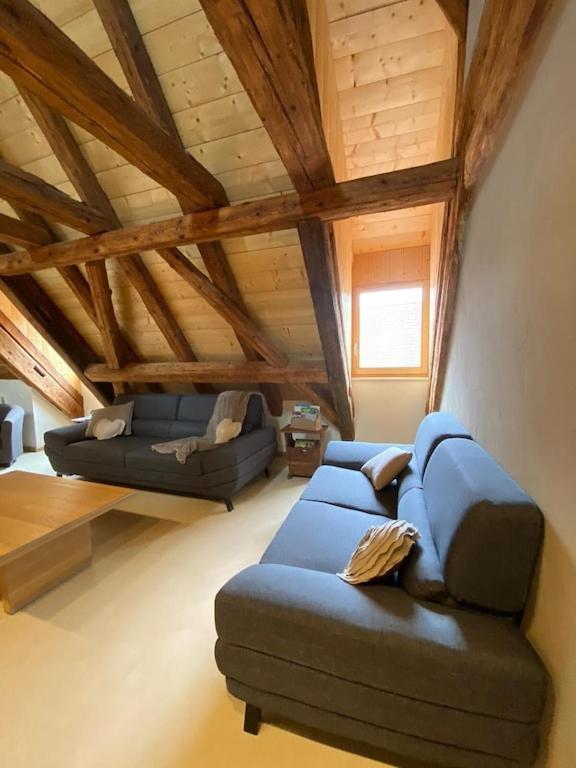 Holiday home Maison De Charme En Alsace - In Vino Veritas - 12 Personnes *
