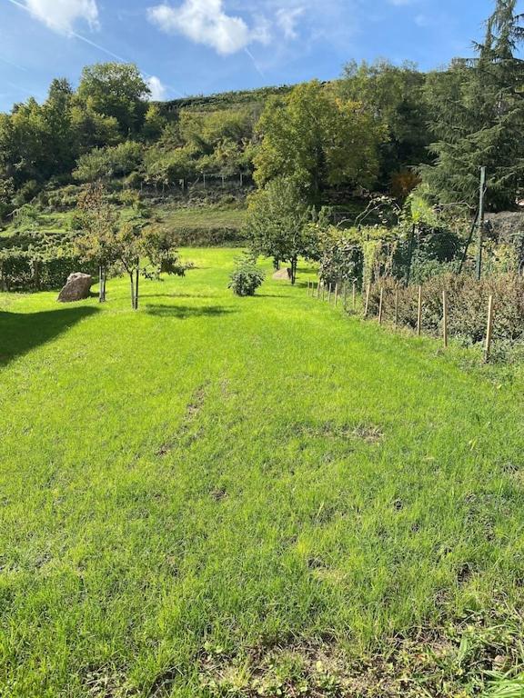 Maison De Charme En Alsace - In Vino Veritas - 12 Personnes Holiday home