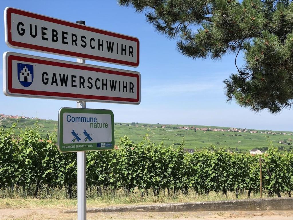 Maison De Charme En Alsace - In Vino Veritas - 12 Personnes Vakantiehuis